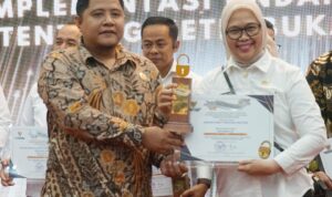 WhatsApp Image 2025-11-12 at 19.17.24